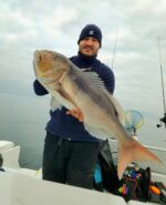 PESCA IN VERTICALE COL VIVO E CON ESCHE FINTE
