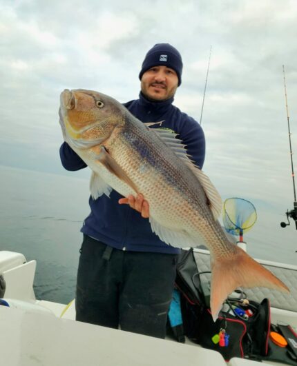 PESCA IN VERTICALE COL VIVO E CON ESCHE FINTE